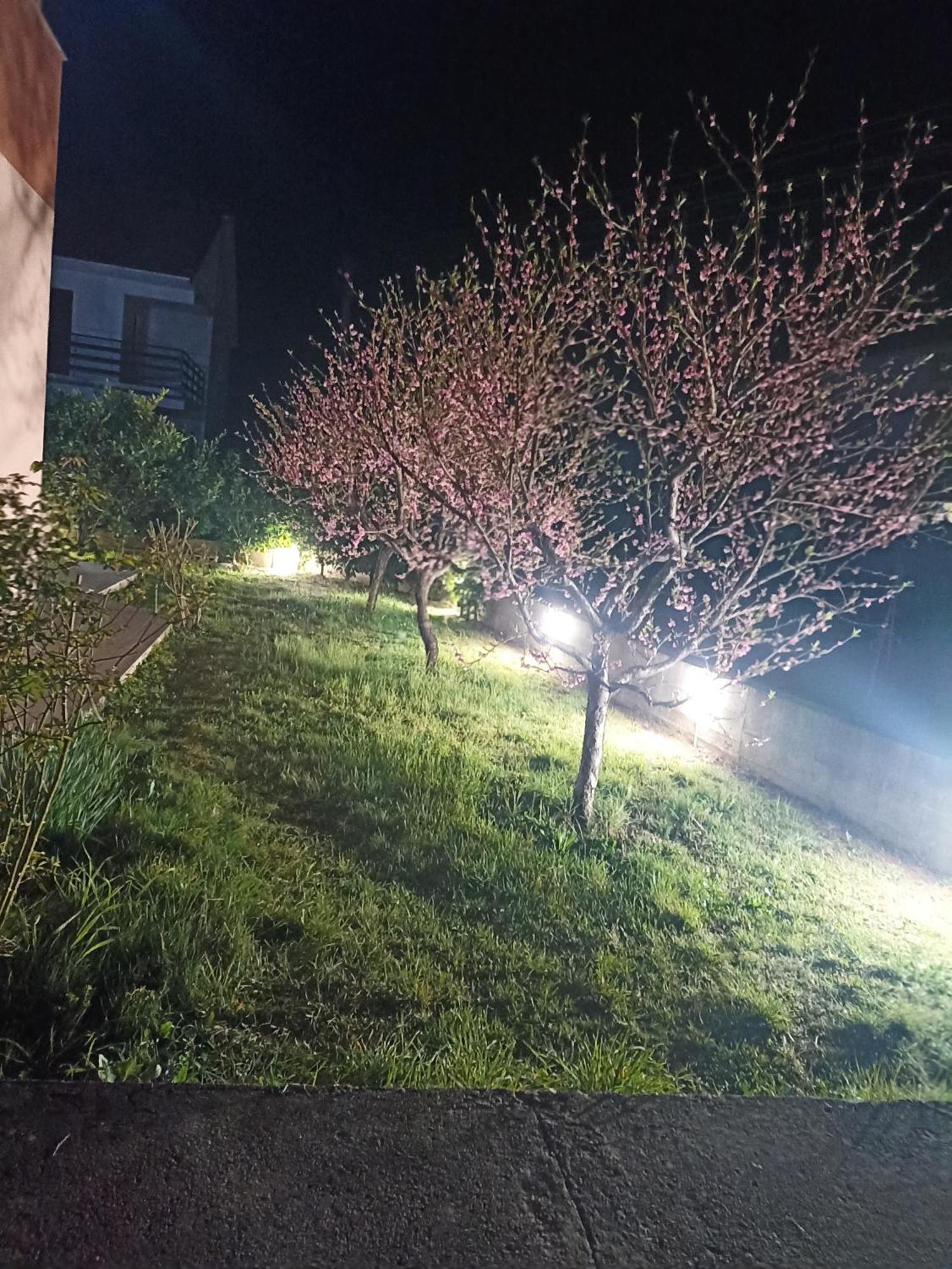 טרביניה Apartmani Slado מראה חיצוני תמונה