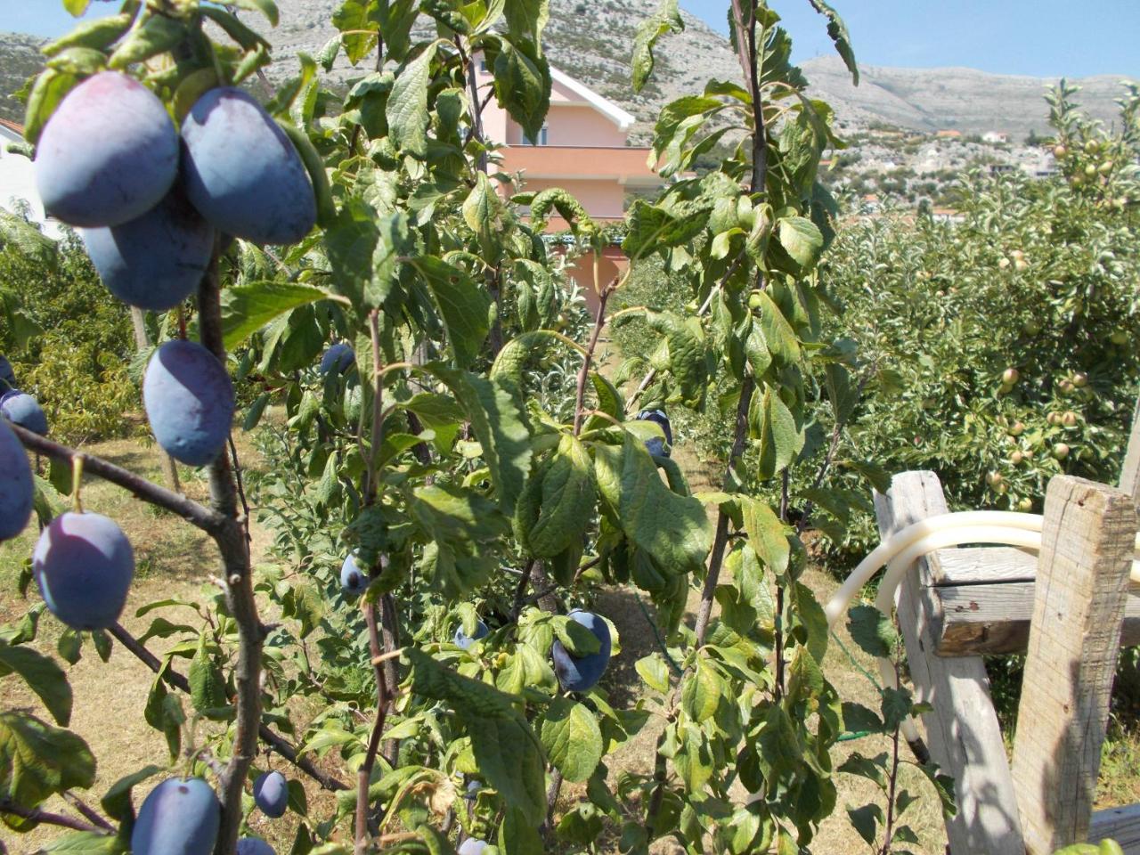 טרביניה Apartmani Slado מראה חיצוני תמונה