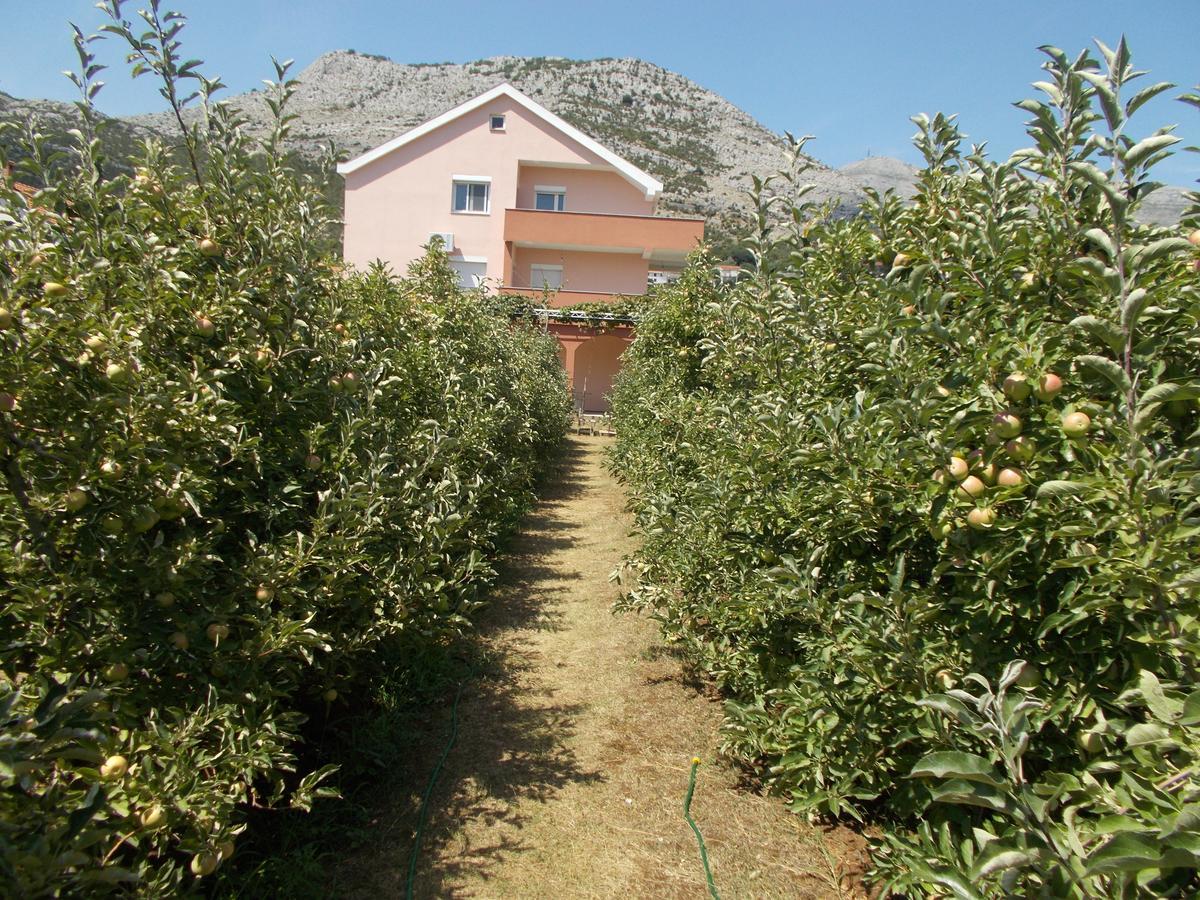 טרביניה Apartmani Slado מראה חיצוני תמונה